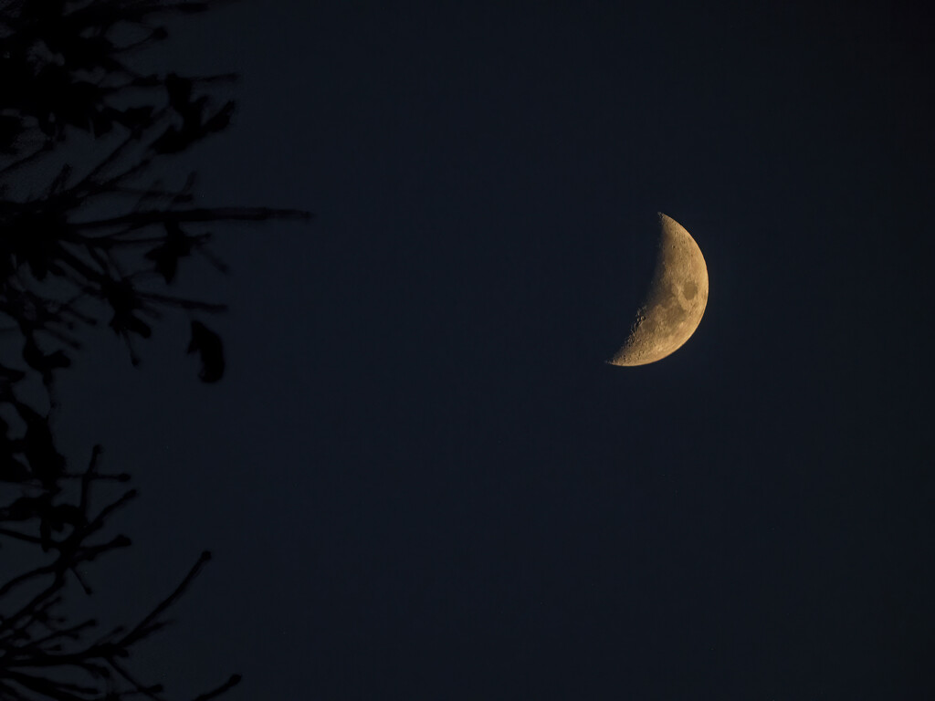 Moon Last Evening by k9photo
