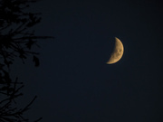 10th Dec 2021 - Moon Last Evening