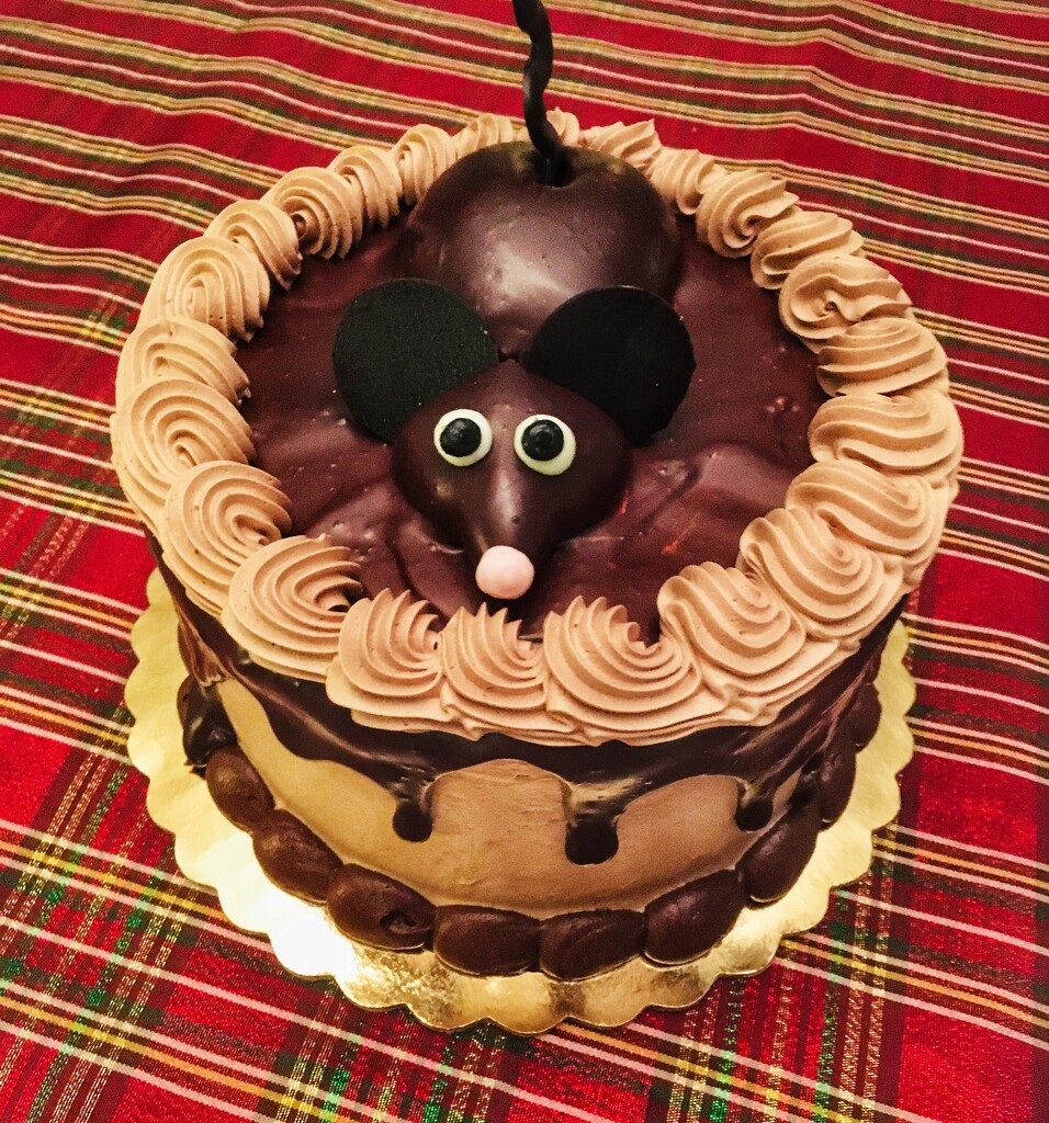 12-10-21 chocolate mouse cake by bkp