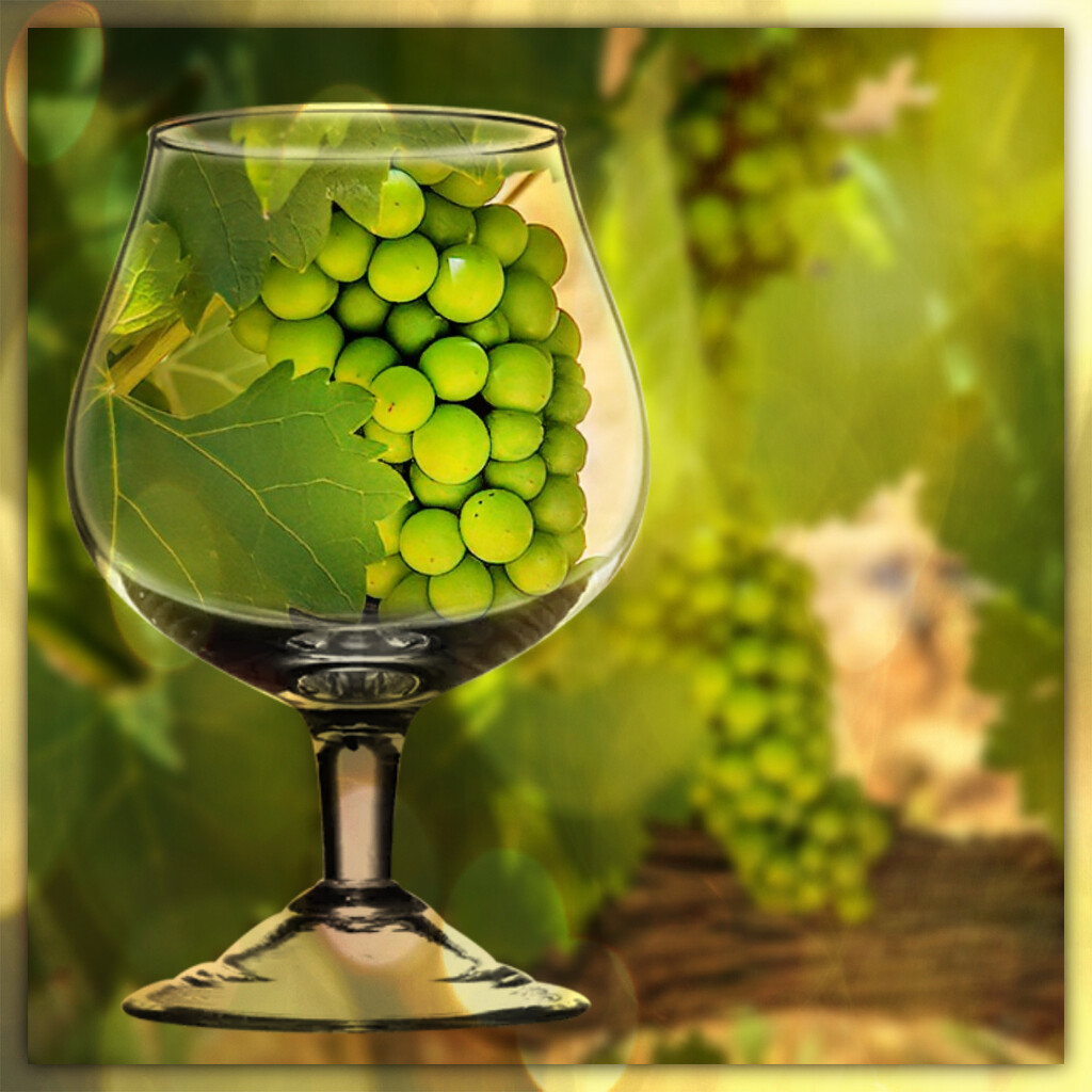 Soon to be a glass of Chenin Blanc by ludwigsdiana