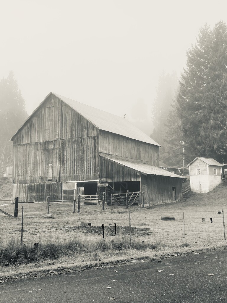 Snohomish Barn by clay88