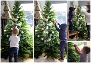11th Dec 2021 - Christmas tree helpers