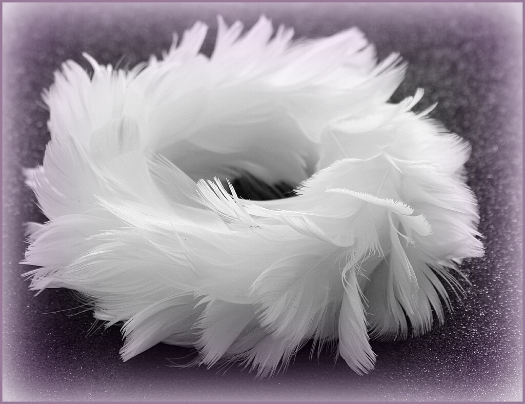 Tiny  Wreath of Feathers.  by wendyfrost