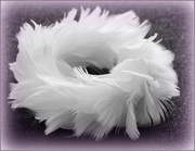 10th Dec 2021 - Tiny  Wreath of Feathers. 