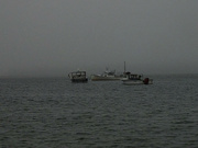 10th Dec 2021 - Boats in the fog
