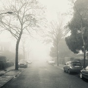 11th Dec 2021 - My foggy street