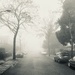 My foggy street by jacqbb