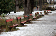 10th Dec 2021 - The iconic red benches of Budapest .......