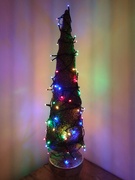 7th Dec 2021 - My Little Christmas Tree
