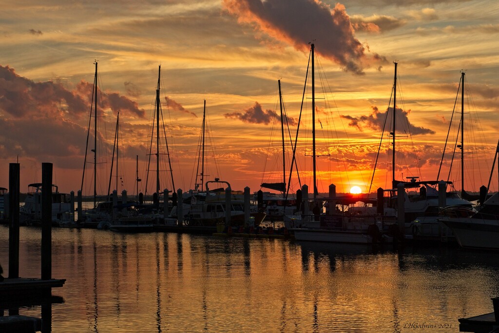 LHG_5586_ Sunset at the Harbor by rontu
