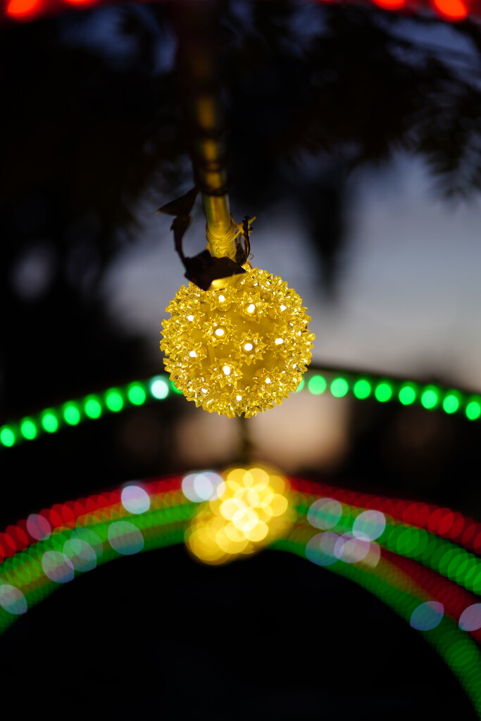 Light ornament by acolyte