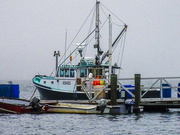 11th Dec 2021 - Fishing boat at docks
