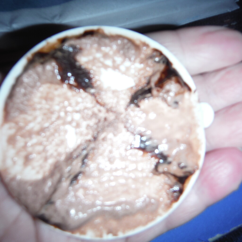 X #10: Chocolate Ice Cream by spanishliz