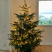 Christmas tree done !  by cocobella