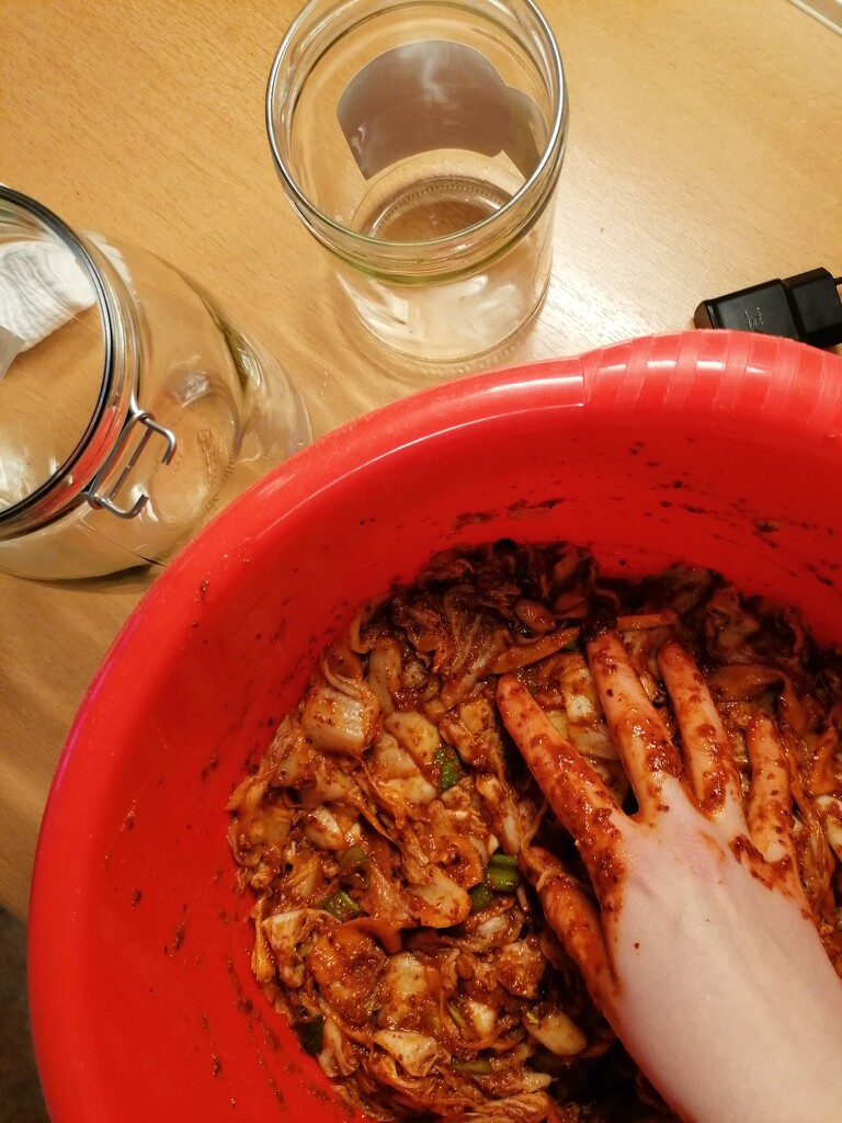 Homemade kimchi finally 3> by zardz