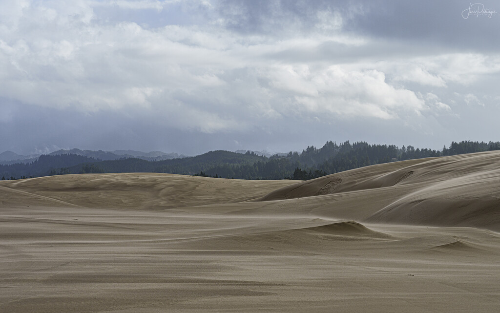 Sand Blowing On Dunes by jgpittenger