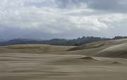 12th Dec 2021 - Sand Blowing On Dunes