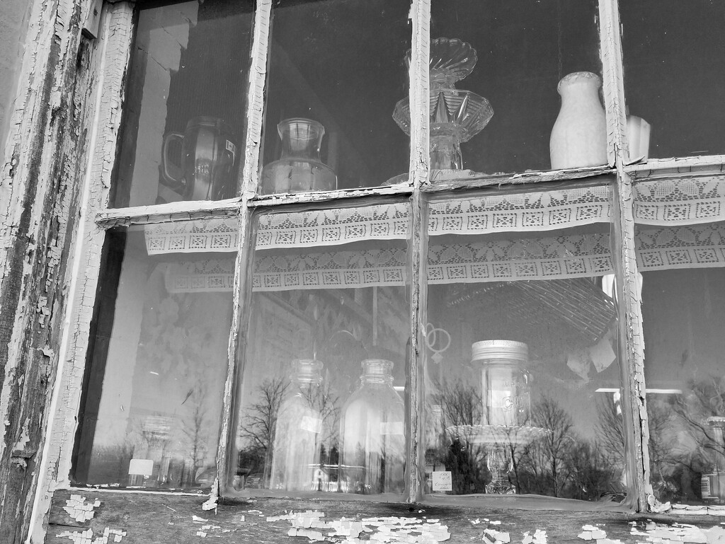 Antique shop window by ljmanning