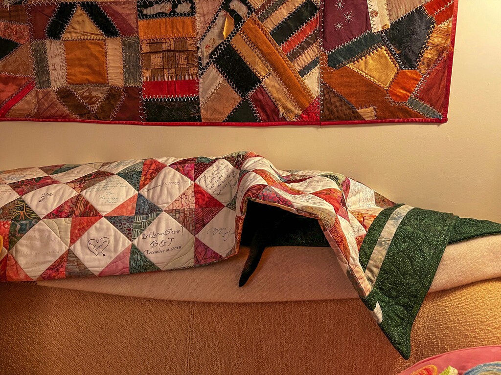 A quilt with a tail by berelaxed