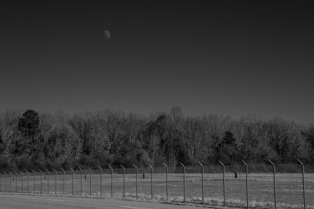 Moon Over The Fence Line by timerskine