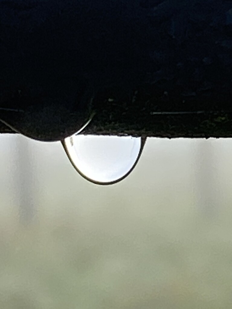 Raindrop Close Up by clay88
