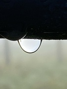 2nd Dec 2021 - Raindrop Close Up