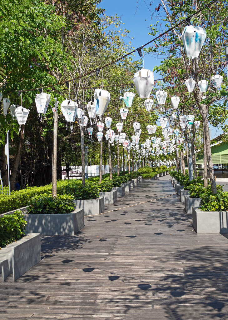 Avenue of Lanterns by ianjb21