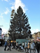4th Dec 2021 - Christmas Tree