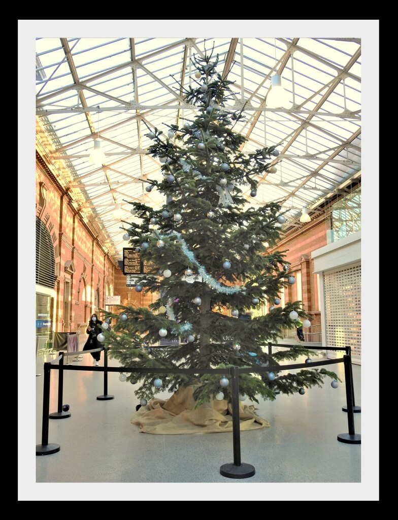 Christmas  Tree at Nottingham Station by oldjosh