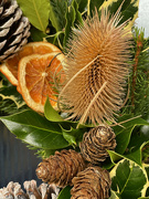 13th Dec 2021 - Teasel and Fir Cones