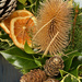 Teasel and Fir Cones by 365projectmaxine