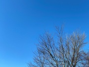 13th Dec 2021 - Blue December sky