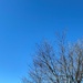 Blue December sky by tunia