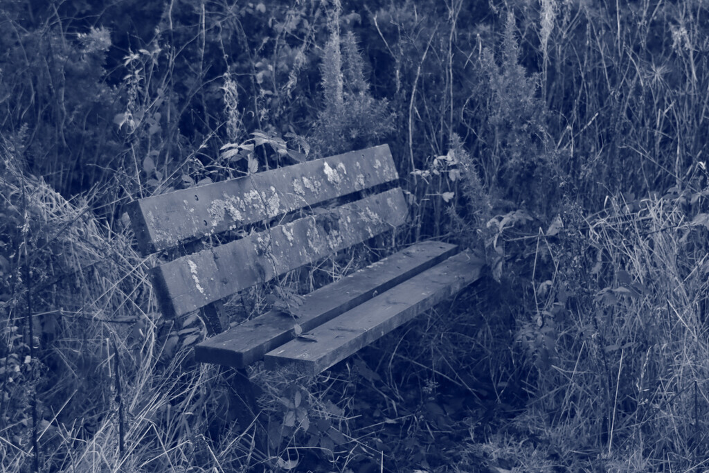 The Neglected Bench by nodrognai