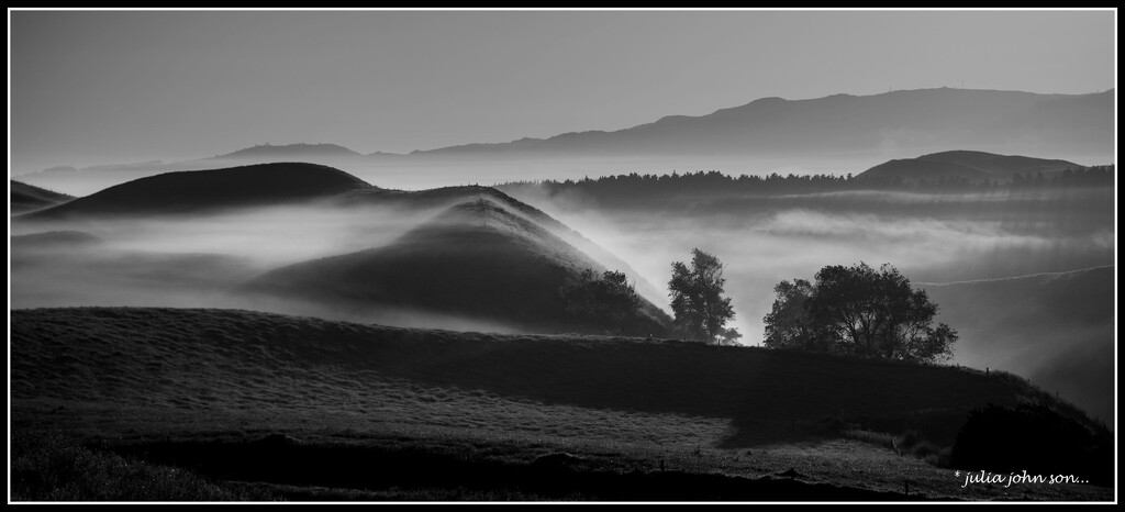 Monochrome misty valley.. by julzmaioro