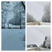 Winter Wonderland  by bkbinthecity