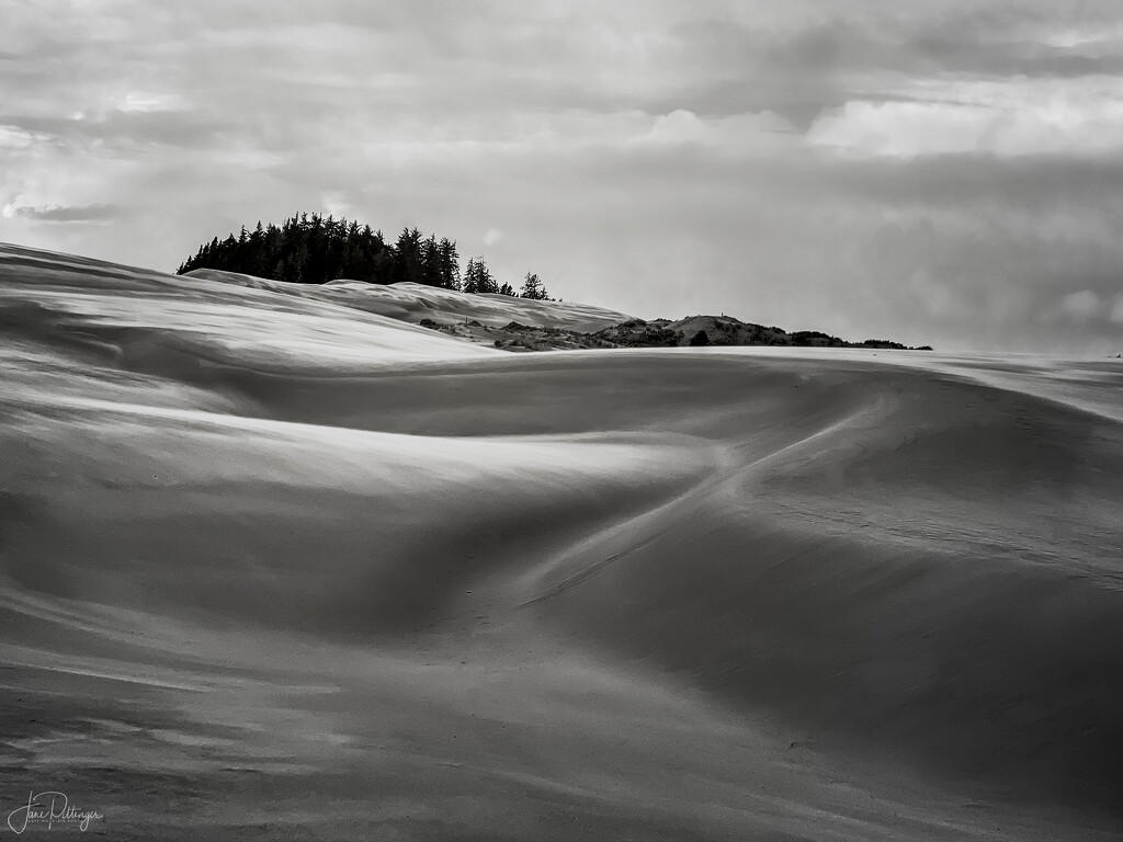 B and W Dellenback Dunes by jgpittenger