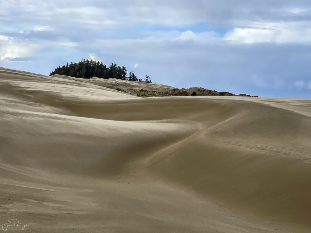 Dellenback Dunes  by jgpittenger
