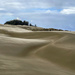 Dellenback Dunes 