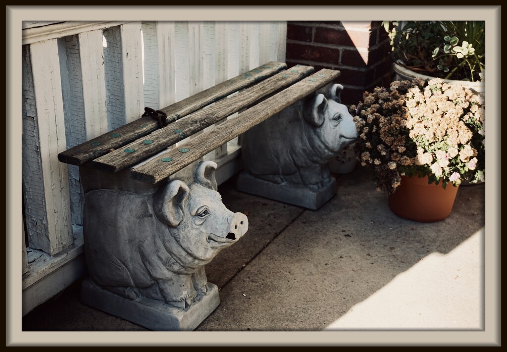 These Little Piggies Have Been Benched by allie912