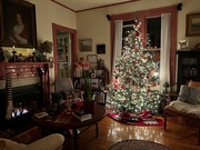 14th Dec 2021 - O Christmas Tree
