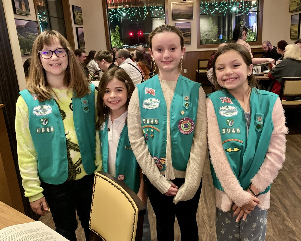 Girl Scouts by louannwarren