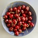 Cherries by narayani