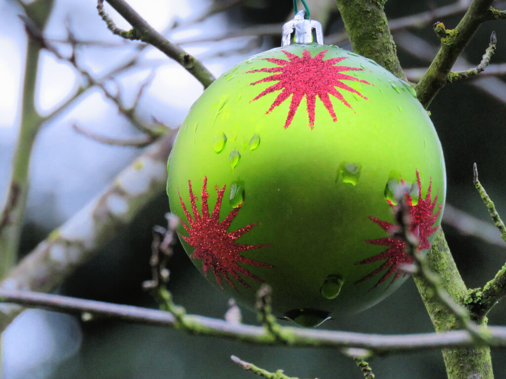 Outdoor Christmas Ornament by seattlite