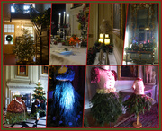 15th Dec 2021 - Christmas Through the Ages- in Flowers
