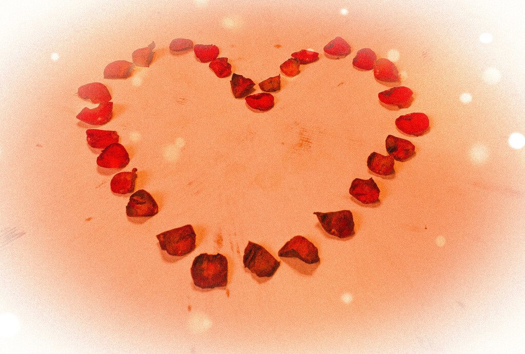 Rose Petal Heart by judyc57