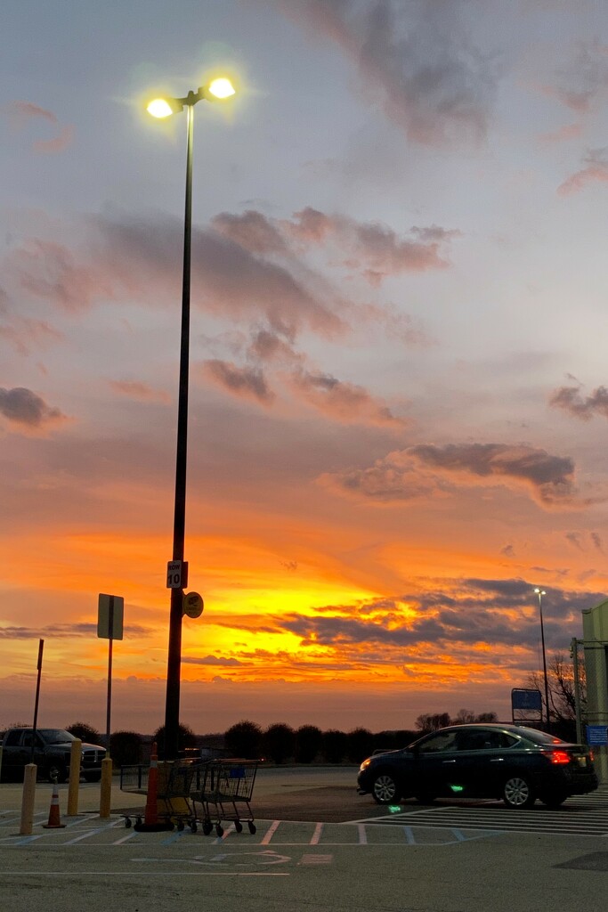 Walmart even has sunsets by tunia