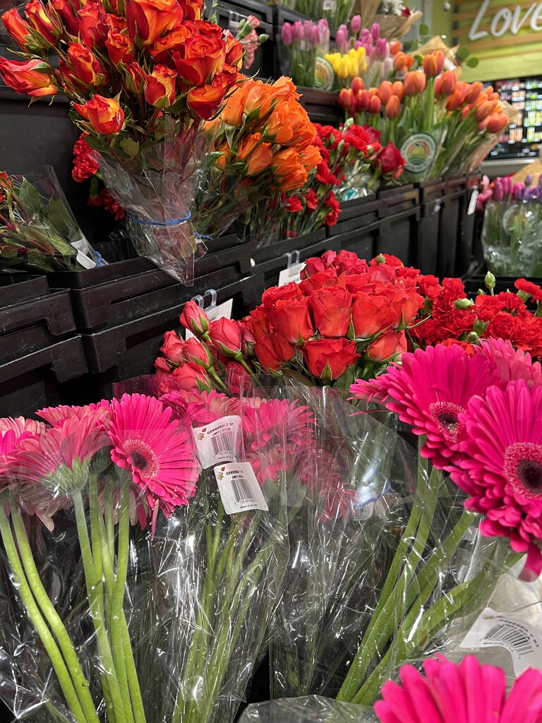 Flowers at the Market by shutterbug49