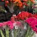Flowers at the Market by shutterbug49