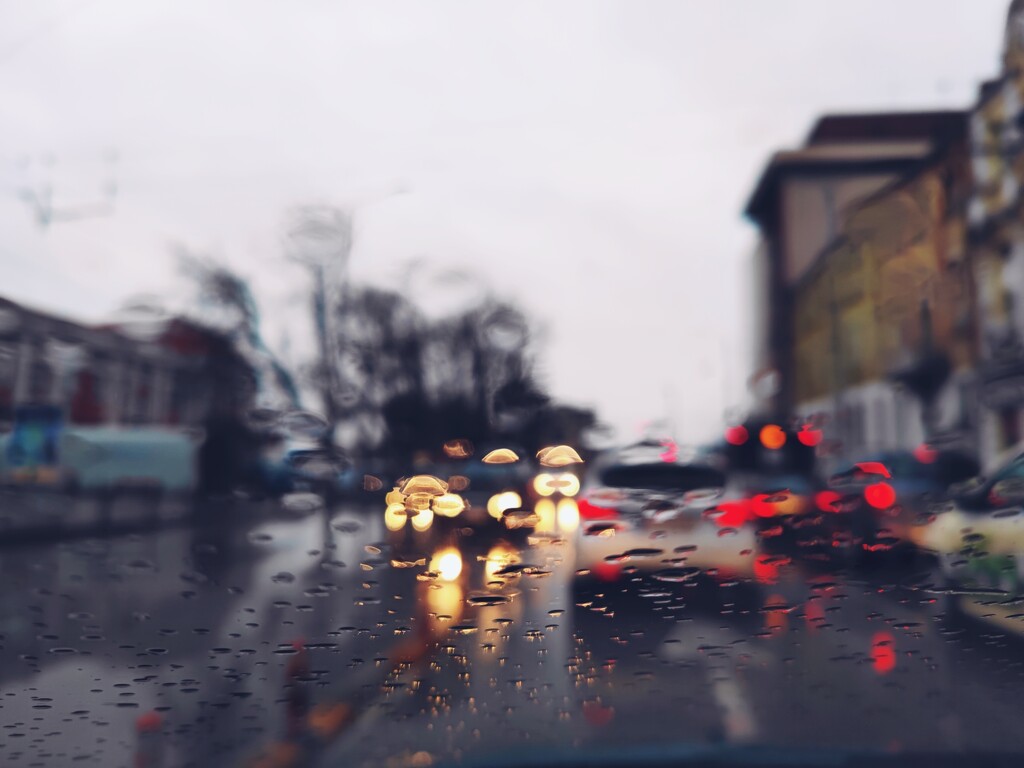 Traffic lights and rain by velina